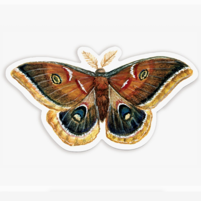 Polyphemus Moth Sticker