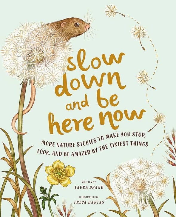 Slow Down And Be Here Now