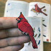 Bird Collective Patch- Northern Cardinal