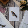 Bird Collective Patch- American Kestrel