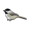 Bird Collective Patch- Black-Capped Chickadee