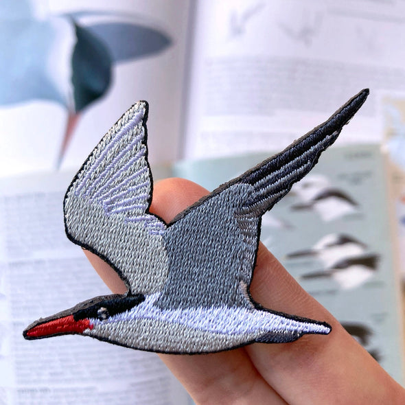 Bird Collective Patch- Caspian Tern