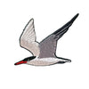 Bird Collective Patch- Caspian Tern