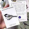 Bird Collective Patch- Black-Capped Chickadee