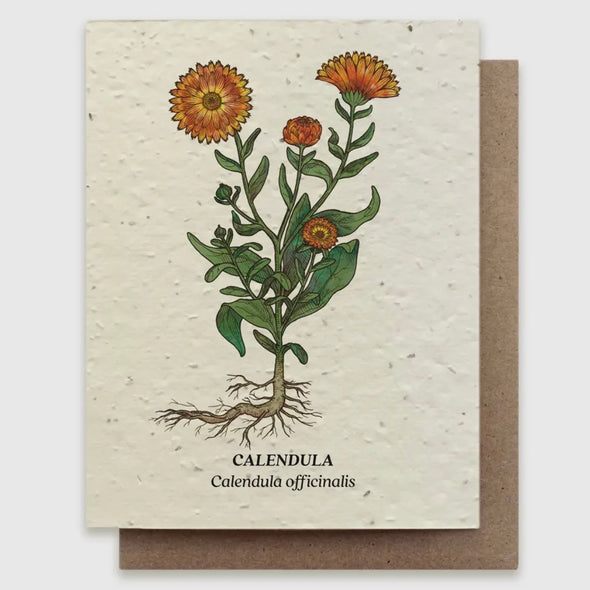 Calendula Plantable Seed Greeting Card