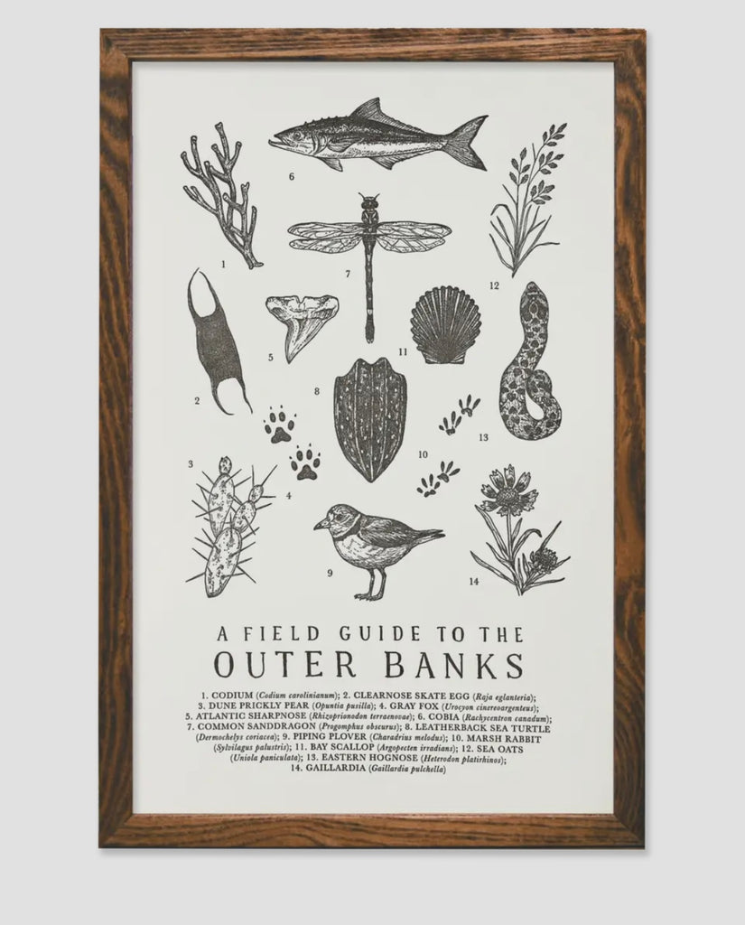Outer Banks Field Guide – Mom's Sweet Shop
