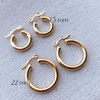 18k Gold Filled Selena Hoop Earrings