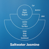 PF Candle Co *LIMITED* Saltwater Jasmine 7.2oz