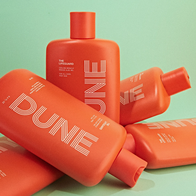 Dune The Lifeguard