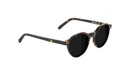 Glassy Olsen Plus Polarized Sunglasses- Tortoise