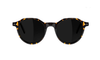 Glassy Olsen Plus Polarized Sunglasses- Tortoise