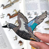 Bird Collective Patch- Blue Winged Teal