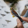 Bird Collective Patch- American Kestrel