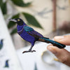 Bird Collective Patch- Boat-Tailed Grackle