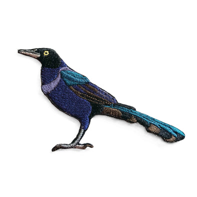 Bird Collective Patch- Boat-Tailed Grackle