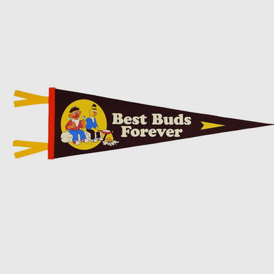 Sesame Street x Oxford Pennant | Best Buds Forever Pennant
