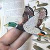 Bird Collective Patch- Mallard