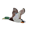 Bird Collective Patch- Mallard