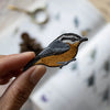 Bird Collective Patch- Red-Breasted Nuthatch