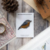 Bird Collective Patch- Red-Breasted Nuthatch