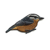 Bird Collective Patch- Red-Breasted Nuthatch