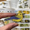 Bird Collective Patch- Prothonotary Warbler