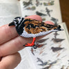 Bird Collective Patch- Ruddy Turnstone