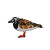 Bird Collective Patch- Ruddy Turnstone
