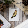 Bird Collective Patch- Cedar Waxwing