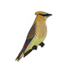 Bird Collective Patch- Cedar Waxwing