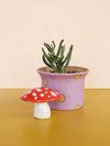 Ceramic Mini Mushroom Sculpture