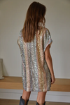 Tuni Sequined Short Sleeve Mini Dress- Champagne Stripe